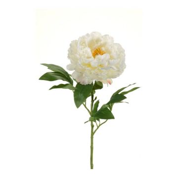 Silk peony DIVIN, cream, 26"/65cm