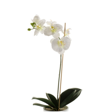 Decorative Phalaenopsis orchid ISIS, spike, white, 24"/60cm