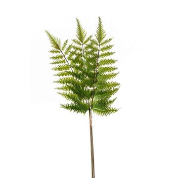 Artificial sword fern branch HALIMA, green, 24"/60cm