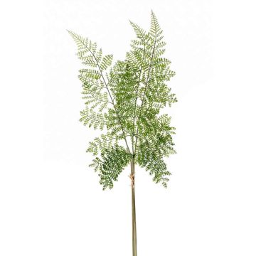 Artificial shield fern branch HALIMA, green, 24"/60cm