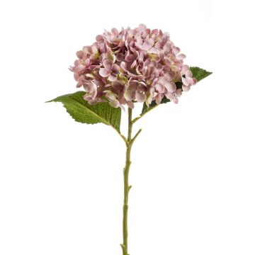 Artificial hydrangea flower EGIA, pink, 20"/50cm