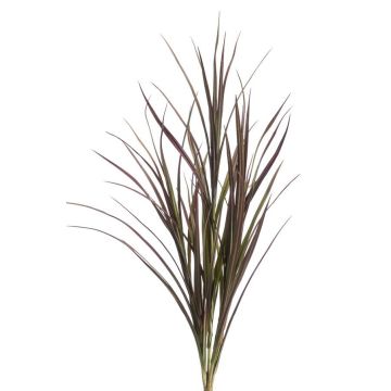 Decorative reed grass MYRNA on spike, crossdoor, green, 3ft/90cm