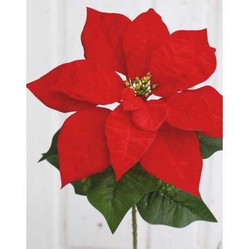 False poinsettia LIBASSE, red, 20"/50cm