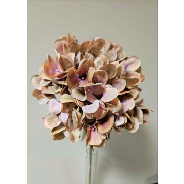 Decorative flower Hydrangea MANDISA, brown-pink, 26"/65cm