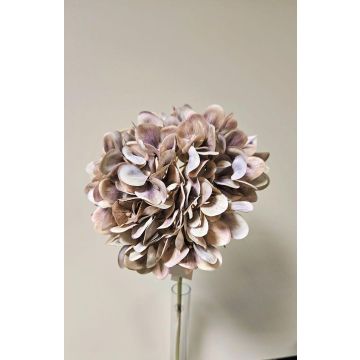 Decorative flower Hydrangea MANDISA, beige-pink, 26"/65cm