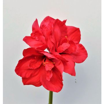 Artificial flower Amaryllis MARKUNO, red, 24"/60cm