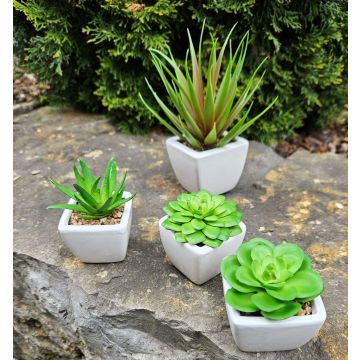 Artificial aloe vera KATNISS, ceramic pot, green, 3.5"/9cm