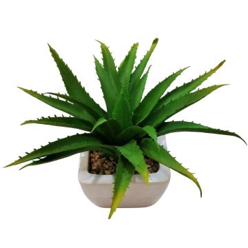 Artificial aloe vera KATNISS, ceramic pot, green, 7"/19cm