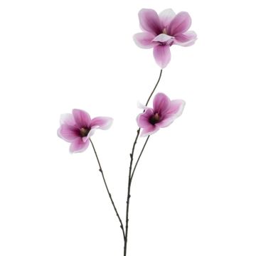 False branch Magnolia FLAVA, dark pink-white, 33"/85cm