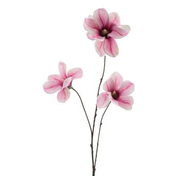 False branch Magnolia FLAVA, fuchsia-white, 33"/85cm