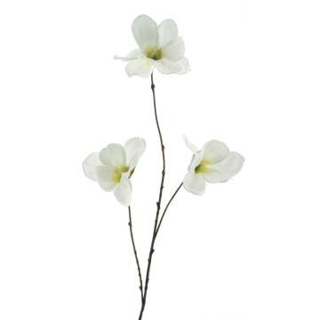 False branch Magnolia FLAVA, white, 33"/85cm