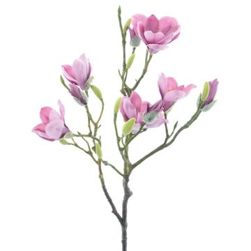 Artificial magnolia branch GUNI, violet, 3ft/90cm