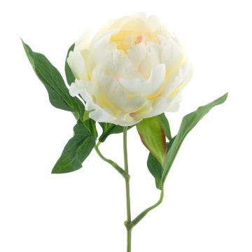 False peony TALFY, cream, 14"/35cm