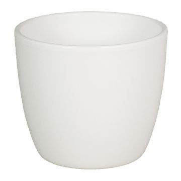 Plant pot TEHERAN BASAR, ceramic, white matt, 4.7"/12cm, Ø5.3"/13,5cm 