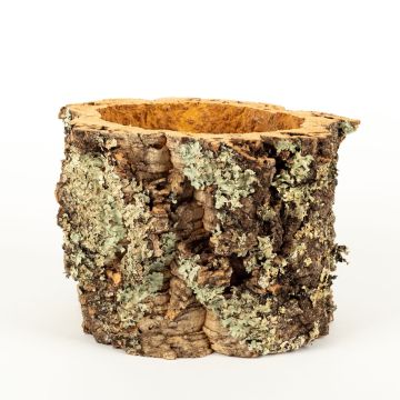 Cork bark flower pot ORSINO, natural, 8"/20cm, Ø9"-11"/23-28cm