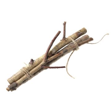 Birch twigs TORSTEN in a bunch, 3 pieces, natural, 12"/30cm