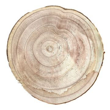 Paulownia tree disc JESSALYN, natural, Ø10"-11"/25-27cm