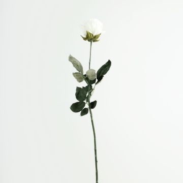 False rose FREIDA, Eco Collection, white-purple, 26"/65cm, Ø2.8"/7cm
