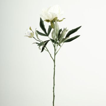 Plastic flower branch Peony GALENE, Eco Collection, white-purple, 26"/65cm, Ø4"/10cm