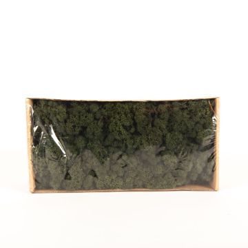 Icelandic natural moss SVEINBJÖRN, fir green, 500g