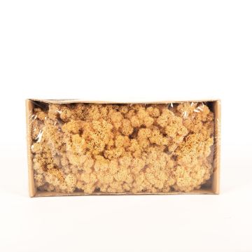 Icelandic natural moss SVEINBJÖRN, peach, 500g