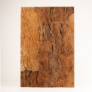 Natural cork board RATANA on agglomerated cork support, light brown, 3ftx24"/90x60cm, thickness 0.8"/2cm