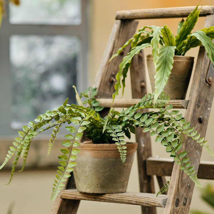Artificial plants and flowers